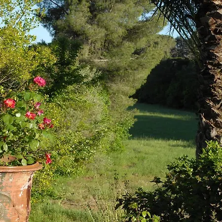 Couette-café La Bellonette