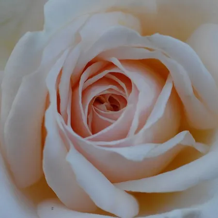 Couette-café La Bellonette Marseillan (Herault)