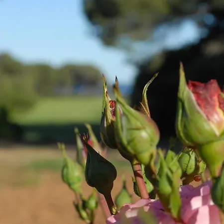 La Bellonette 3* Marseillan (Herault)